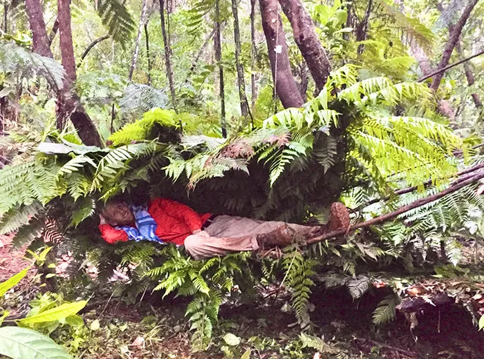 Sleeping in an island survival shelter