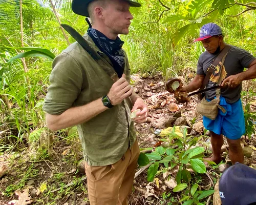 Island survival tools and bushcraft