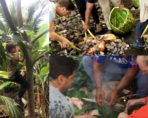 Wild food foraging and cooking Hawaii